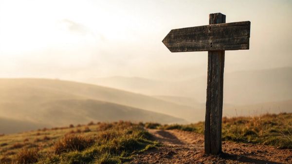 Explorer le cloud en France : pourquoi opter pour la souveraineté numérique ?